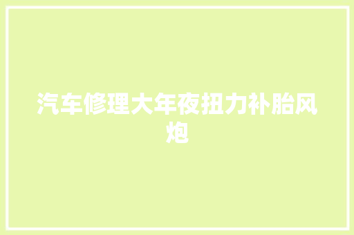 汽车修理大年夜扭力补胎风炮