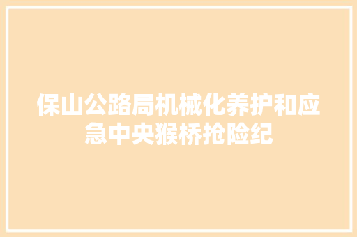 保山公路局机械化养护和应急中央猴桥抢险纪