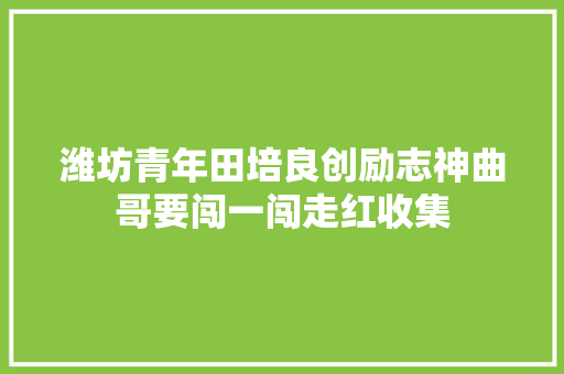 潍坊青年田培良创励志神曲哥要闯一闯走红收集