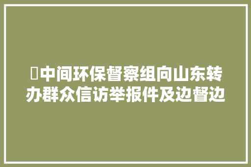 ​中间环保督察组向山东转办群众信访举报件及边督边改公开情况一览表第二十五批