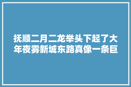 抚顺二月二龙举头下起了大年夜雾新城东路真像一条巨龙抚顺雄起