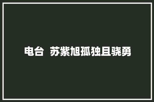 电台  苏紫旭孤独且骁勇