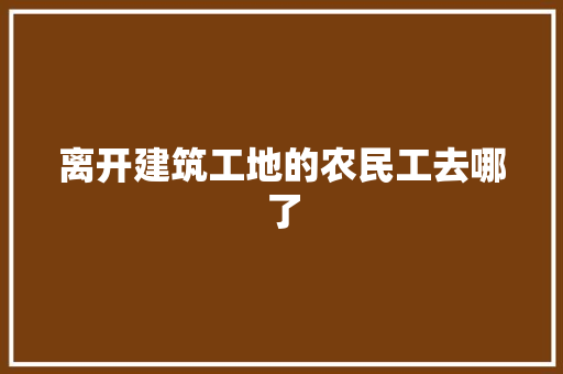 离开建筑工地的农民工去哪了 休闲娱乐