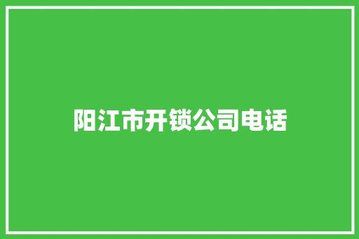 阳江市开锁公司电话