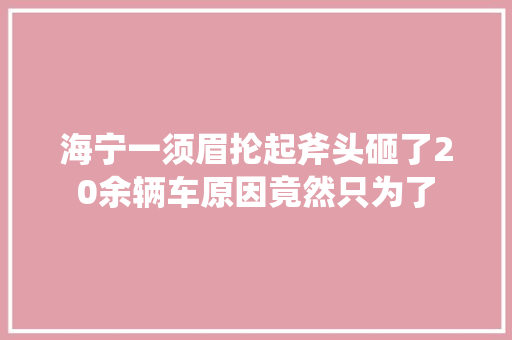 海宁一须眉抡起斧头砸了20余辆车原因竟然只为了