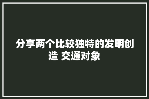 分享两个比较独特的发明创造 交通对象