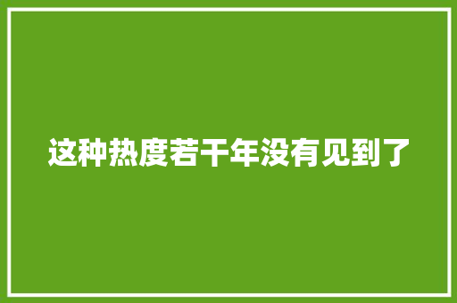 这种热度若干年没有见到了