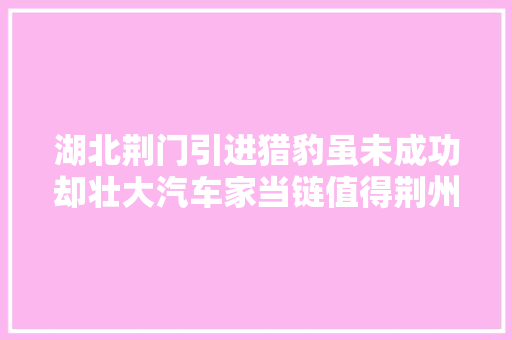湖北荆门引进猎豹虽未成功却壮大汽车家当链值得荆州进修