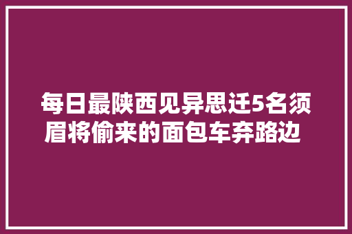 每日最陕西见异思迁5名须眉将偷来的面包车弃路边 又偷走汽车装潢店内一新车