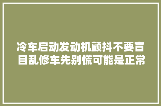 冷车启动发动机颤抖不要盲目乱修车先别慌可能是正常现象