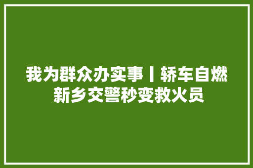 我为群众办实事丨轿车自燃 新乡交警秒变救火员