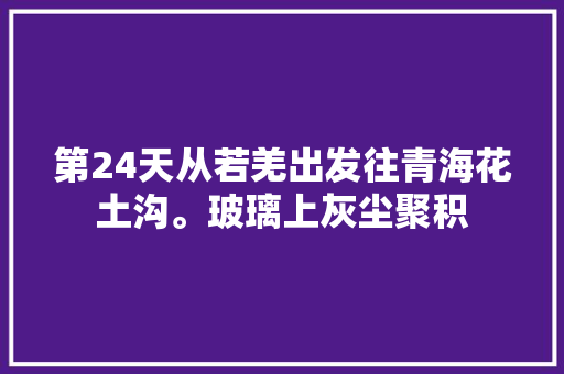 第24天从若羌出发往青海花土沟。玻璃上灰尘聚积
