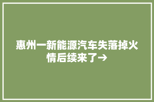 惠州一新能源汽车失落掉火情后续来了→