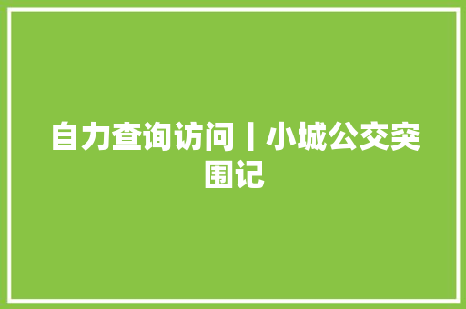 自力查询访问丨小城公交突围记