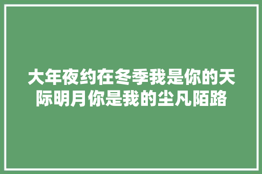 大年夜约在冬季我是你的天际明月你是我的尘凡陌路