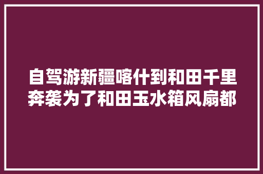 自驾游新疆喀什到和田千里奔袭为了和田玉水箱风扇都颠掉落了