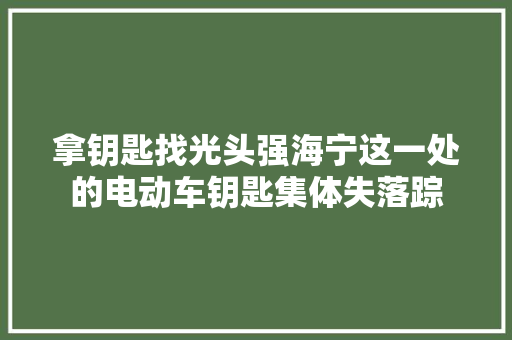 拿钥匙找光头强海宁这一处的电动车钥匙集体失落踪