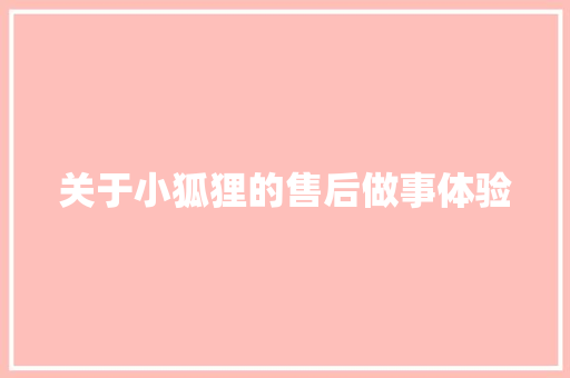 关于小狐狸的售后做事体验