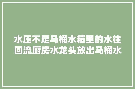 水压不足马桶水箱里的水往回流厨房水龙头放出马桶水太糟心了