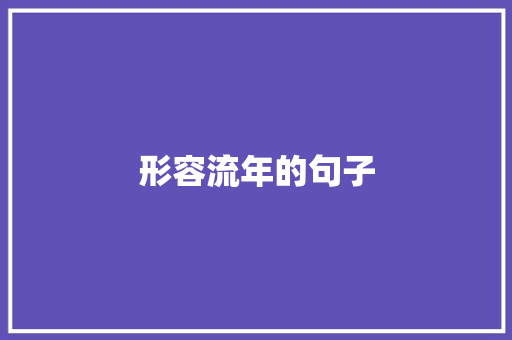 形容流年的句子