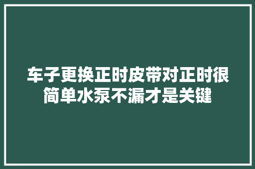 车子更换正时皮带对正时很简单水泵不漏才是关键