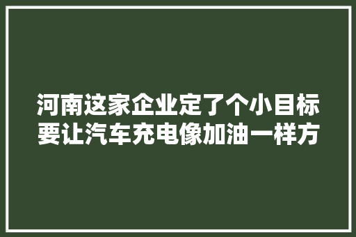 河南这家企业定了个小目标要让汽车充电像加油一样方便