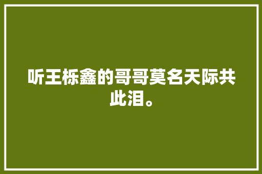 听王栎鑫的哥哥莫名天际共此泪。