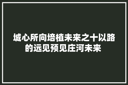 城心所向培植未来之十以路的远见预见庄河未来 