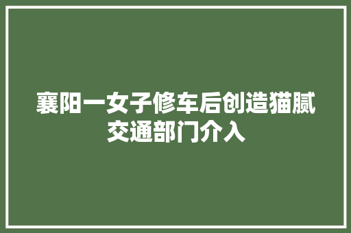 襄阳一女子修车后创造猫腻交通部门介入