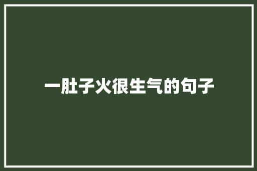 一肚子火很生气的句子