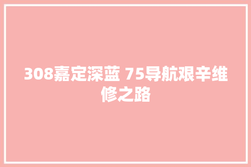 308嘉定深蓝 75导航艰辛维修之路