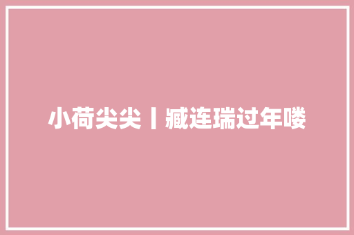 小荷尖尖丨臧连瑞过年喽