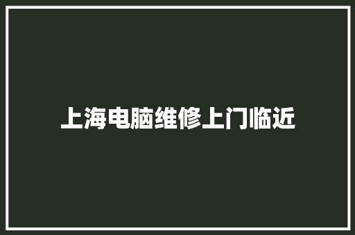 上海电脑维修上门临近