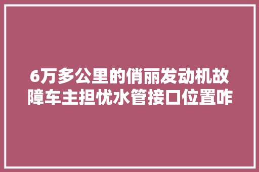 6万多公里的俏丽发动机故障车主担忧水管接口位置咋喷水了
