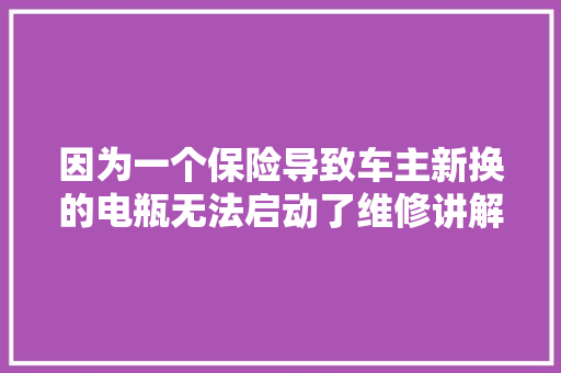 因为一个保险导致车主新换的电瓶无法启动了维修讲解全过程