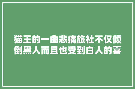 猫王的一曲悲痛旅社不仅倾倒黑人而且也受到白人的喜好