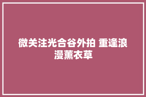 微关注光合谷外拍 重逢浪漫薰衣草