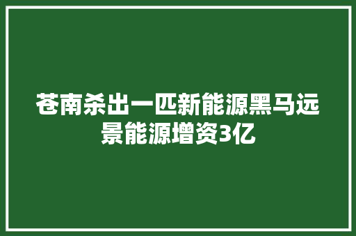 苍南杀出一匹新能源黑马远景能源增资3亿