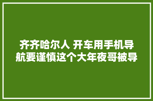 齐齐哈尔人 开车用手机导航要谨慎这个大年夜哥被导上了