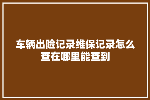 车辆出险记录维保记录怎么查在哪里能查到