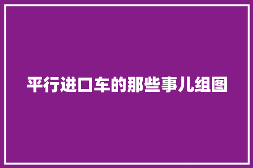 平行进口车的那些事儿组图