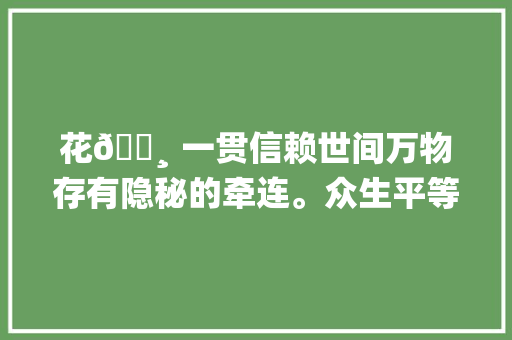 花🌸 一贯信赖世间万物存有隐秘的牵连。众生平等没