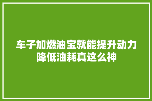 车子加燃油宝就能提升动力降低油耗真这么神