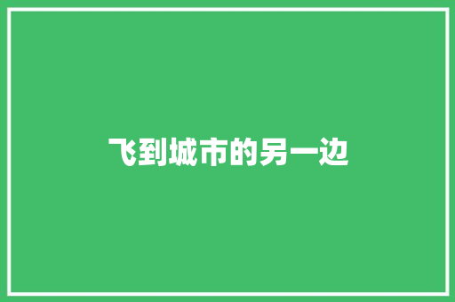 飞到城市的另一边