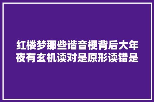 红楼梦那些谐音梗背后大年夜有玄机读对是原形读错是笑话