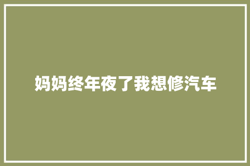 妈妈终年夜了我想修汽车