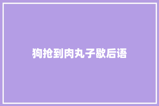 狗抢到肉丸子歇后语