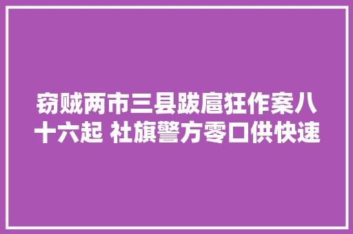窃贼两市三县跋扈狂作案八十六起 社旗警方零口供快速破案