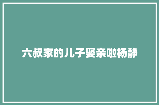 六叔家的儿子娶亲啦杨静