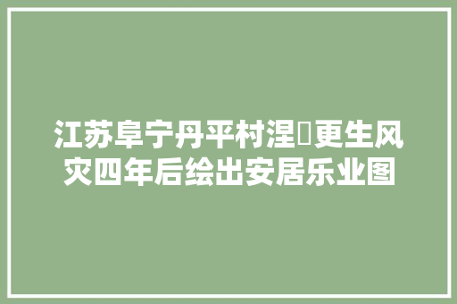 江苏阜宁丹平村涅槃更生风灾四年后绘出安居乐业图